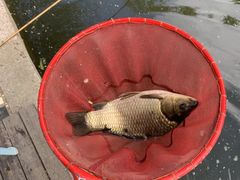 -酷鱼垂钓CLUB(朝阳区博大路店 )