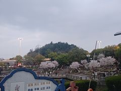 -月湖风景区