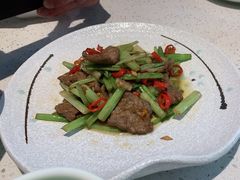 -船歌·鱼水饺青岛菜(金狮广场店)