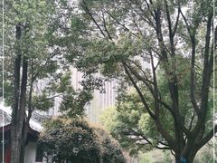-堤角公园