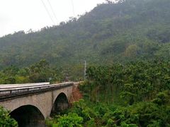 -海南热带雨林国家公园吊罗山景区