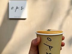 Orange&nbsp;Pillow-O.P.S. CAFE