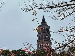 -顺峰山公园