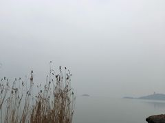 -上海市保健医疗中心(华东疗养院)