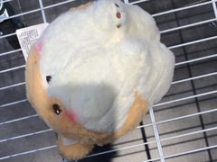 -小鹿的屋(广州花都融创茂店)