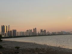 -深圳湾公园(南山区)