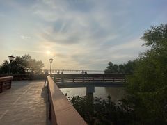 -宝安西湾红树林湿地公园