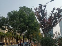 -云境生态园(红谷滩店)