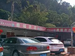 -鹿福农庄(南沙天后宫店)