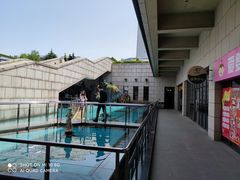 -陕西自然博物馆