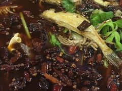 -川道拐耗儿鱼(置信路店)