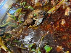 -温江公平红烧兔(总店)