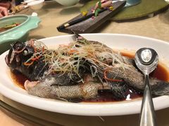 -新希望诺富特酒店-青岛湾中餐厅