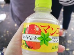 -一蘭拉面(新宿中央东口店)