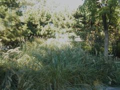 -北极寺公园