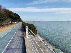 -贡湖湾湿地公园