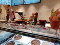 -哈根达斯(国瑞店)