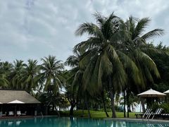 -海南清水湾莱佛士酒店