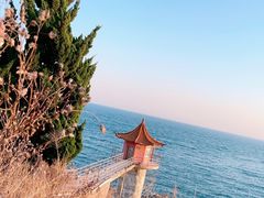 -小麦岛公园