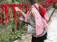 -大理蝴蝶泉鱼馆(白龙盛世美食街店)