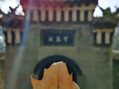 -习家池