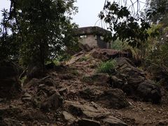 -火炉山森林公园