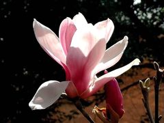 -昆明市金殿名胜区