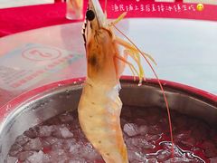 -胜记大排档·台山本地海鲜·台山黄鳝饭