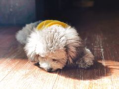 -默迹咖啡馆