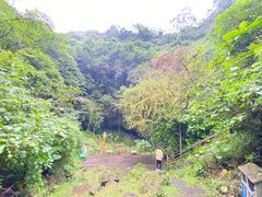 -海口火山口国家地质公园