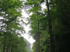 景点-剑门关风景区