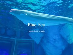 -上海海昌海洋公园