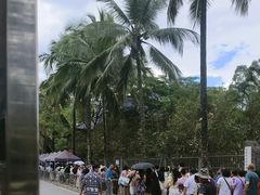 -西双版纳傣族园