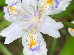 -上海吴淞炮台湾国家湿地公园