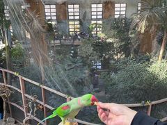 -南宫五洲植物乐园