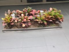 -阿伟海鲜楼·福建菜(涵江店)