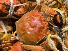 -太湖饭店玉兰厅(自助餐厅)