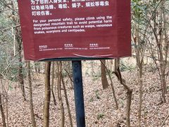 -紫金山山顶公园