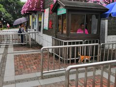 -自然谷恐龙园