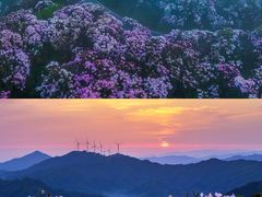 -永州阳明山国家森林公园