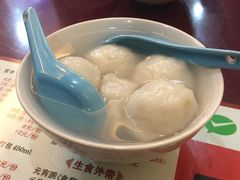 -海丝金凤(金鱼店)
