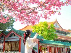 -广东圆玄道观