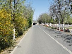 -绿堤公园