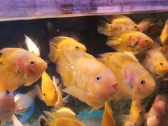 -常州海昌海洋探索馆
