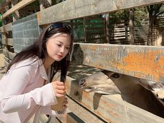 -圣露庄园·露营·烤肉·亲子