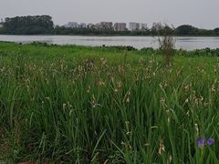 -南海湾森林生态园