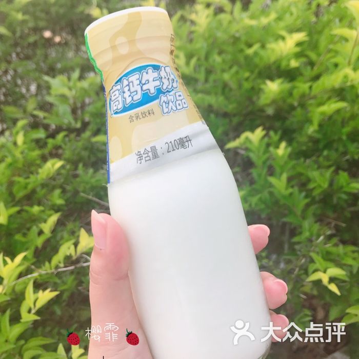 风行牛奶