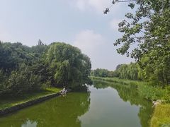 -大兴滨河森林公园