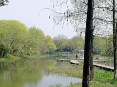 -西溪国家湿地公园