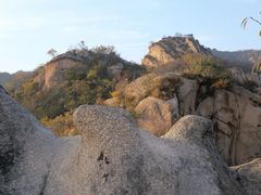 -大岭沟猕猴桃谷风景区